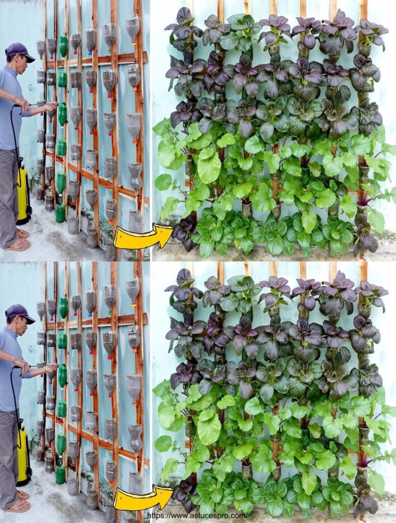 Pas Besoin De Jardin Transformez Un Petit Mur En Un Potager Luxuriant