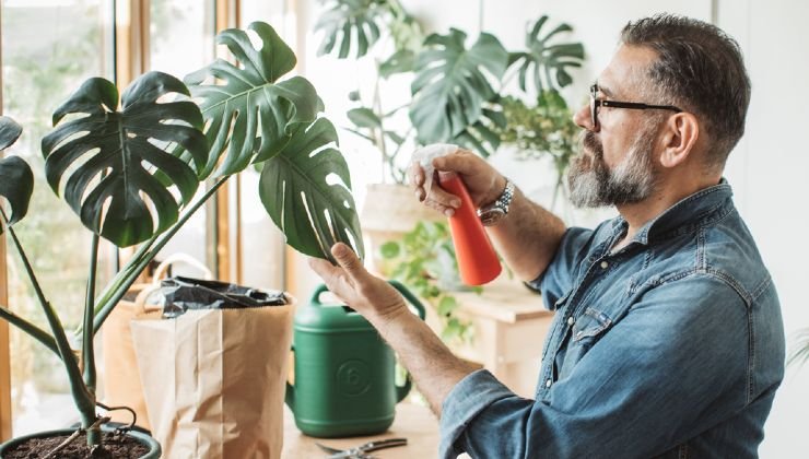 Prendre soin des plantes